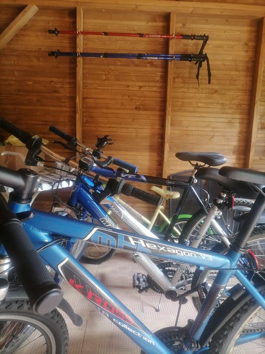 Domek w sosnach - Leśny Zakątek