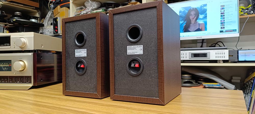 Акустика SONY SS - CSP 55 (Рв.)