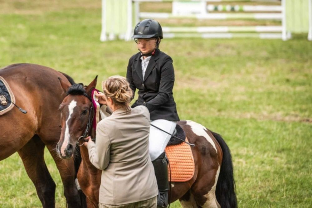 Sportowy kuc do skoków