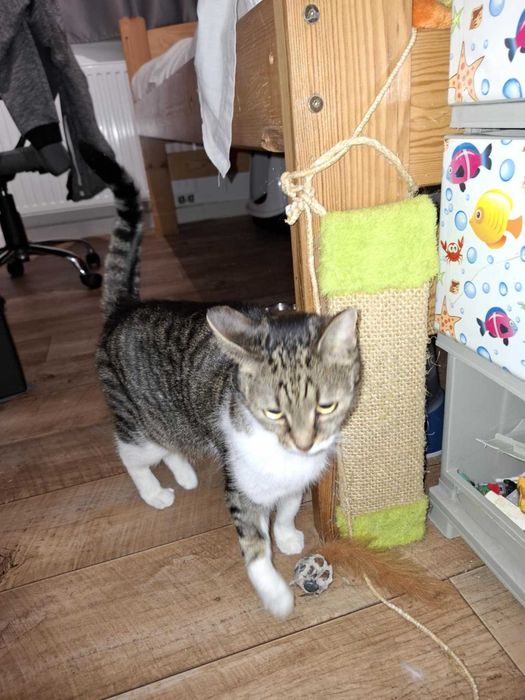 Daj LUNIE spokojny, kochający dom, w którym będzie jedynaczką