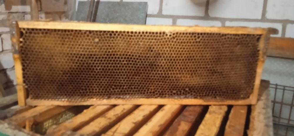 Суш, полурамка!!