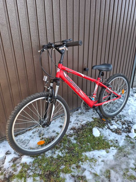 Rower Olpran 24 cale