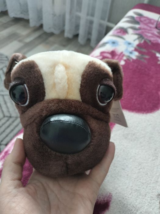 Мопс нова іграшка.