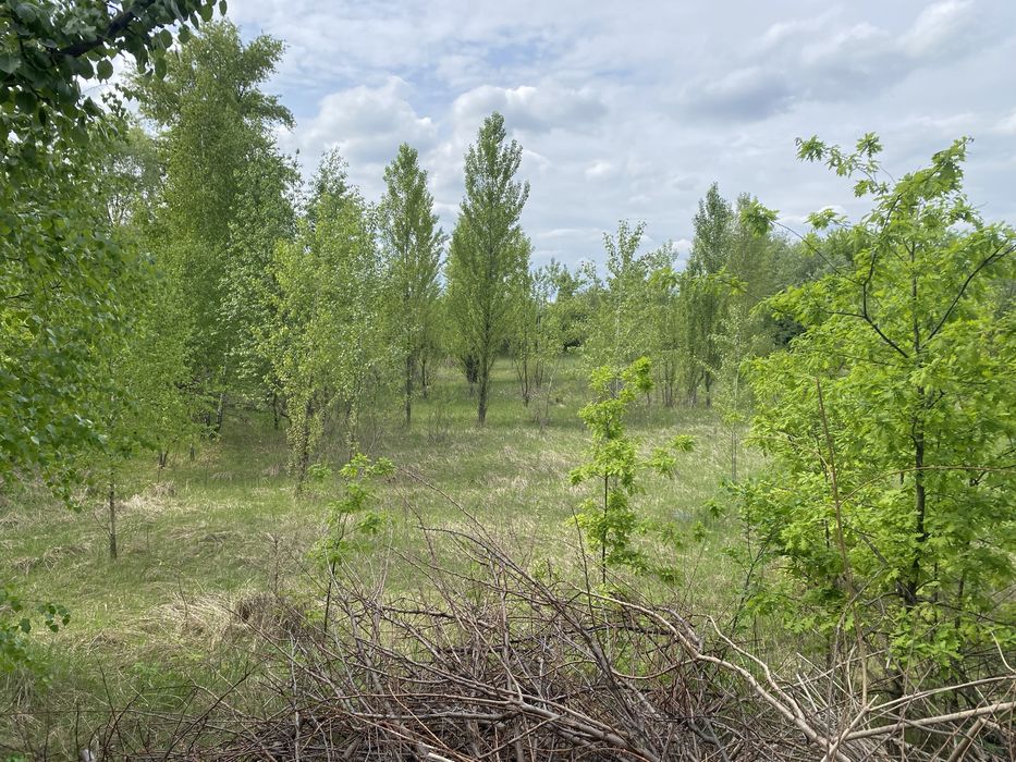 Продам земельну ділянку 83 сотки с.Хотів асфаль, газ,світло