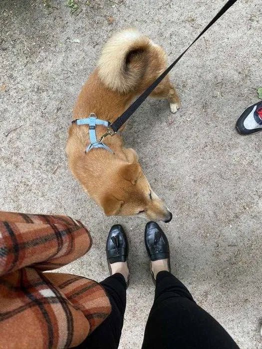 Шлейка Нейлонова hunter-vario-rapid s