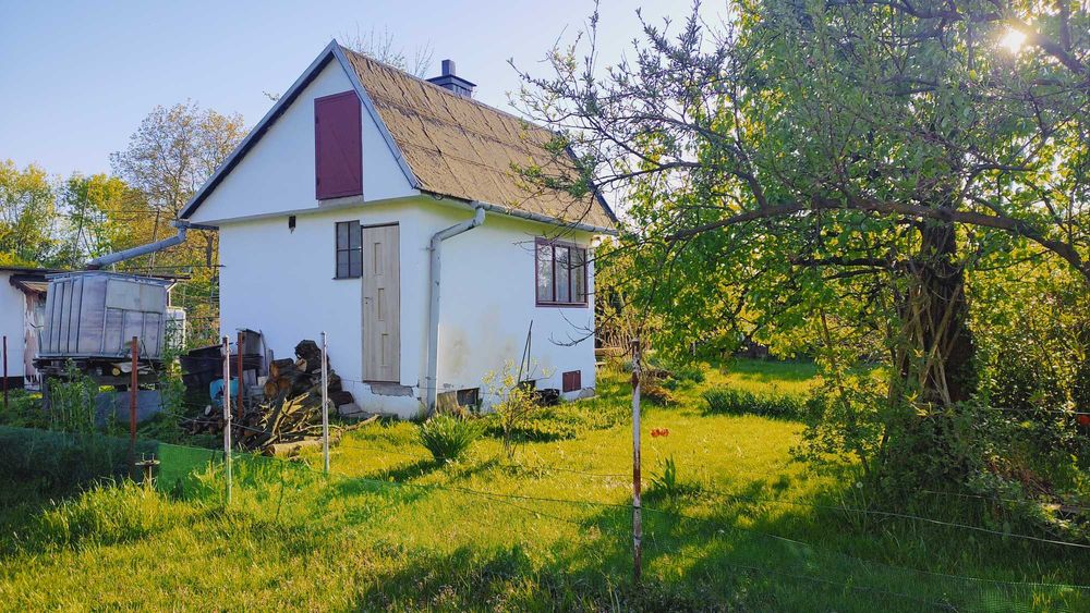 Sprzedam działkę ROD Jaskólka w Mościcach nr 48 A koło Tarnowa - Widok 5