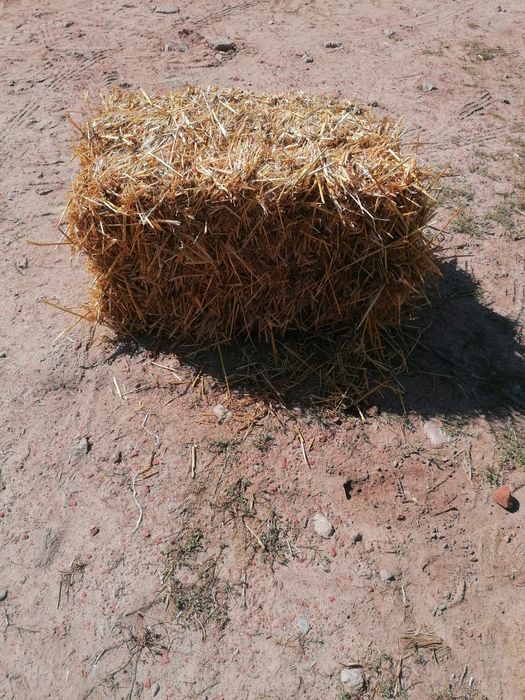 Słoma  kostka owsiana