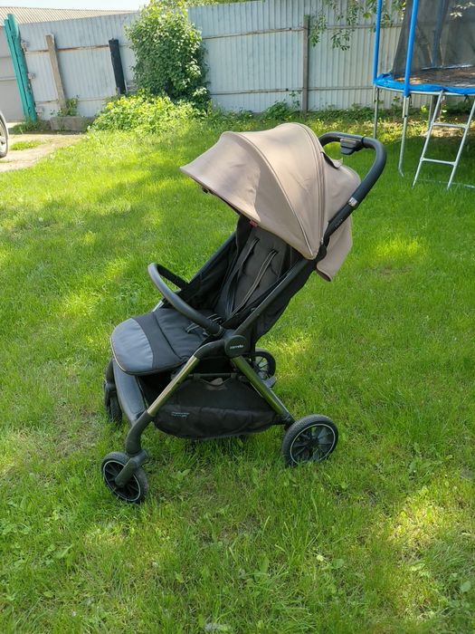 Cattello up to 3 kg