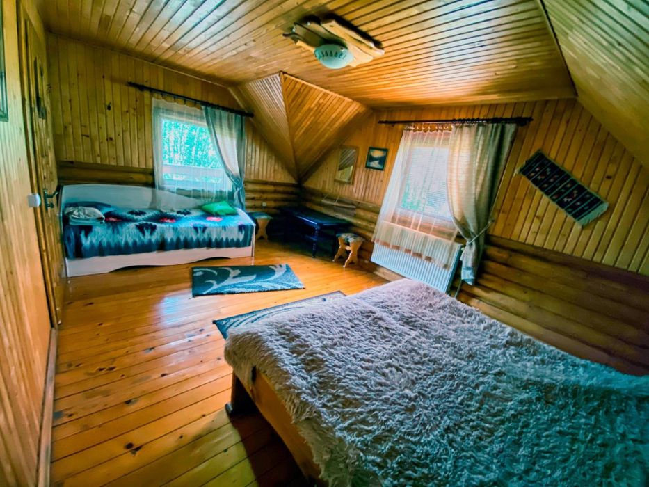 Будинок в Карпатах