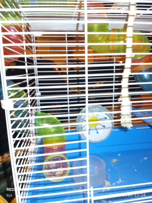 Gaiola grande para hamster com acessórios completos