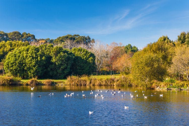 Arrendamento Moradia T4 com  jardim e vista mar na Foz do Douro