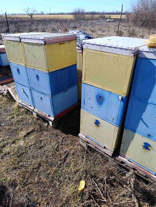 Продам вулики та весь інвентар