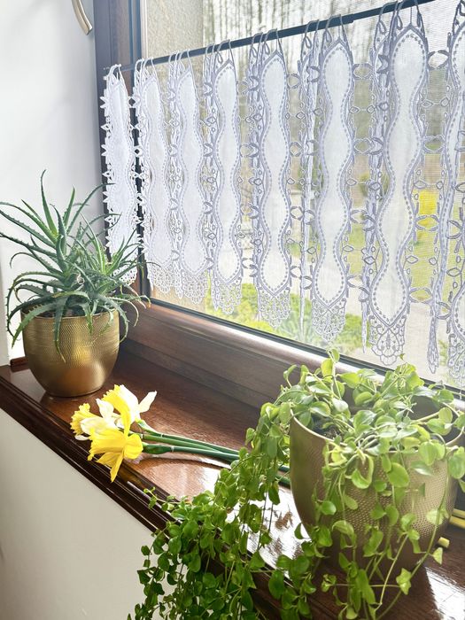 Zazdrostka Gipiura Biała Panel Firana Do pokoju Do Kuchni wys 60cm