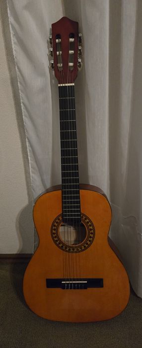 Viola com bolsa transporte