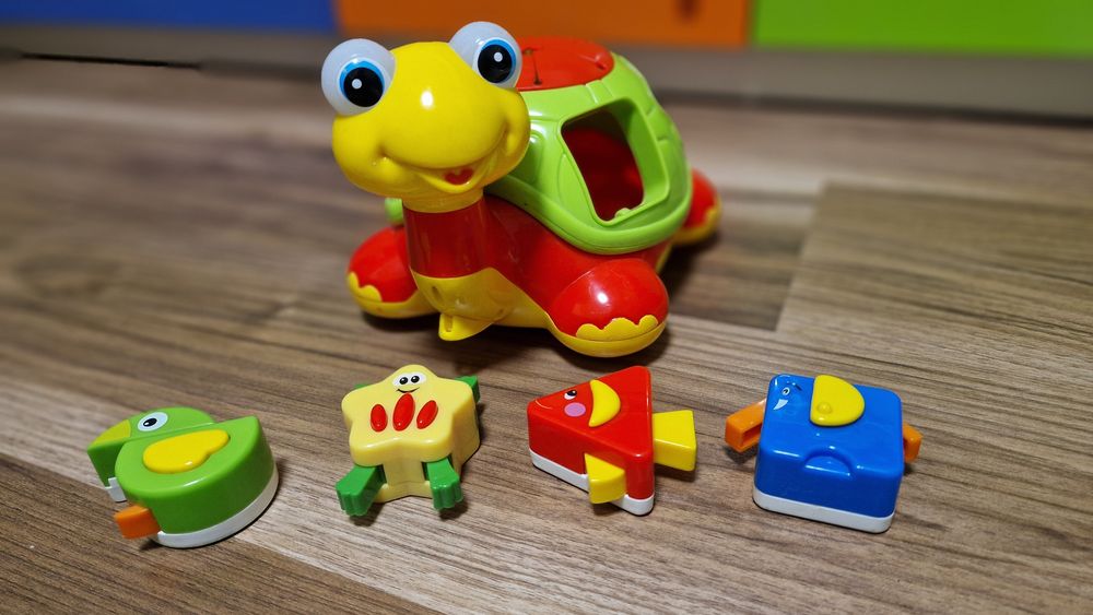 Сортер черепаха Знайка на русском языке