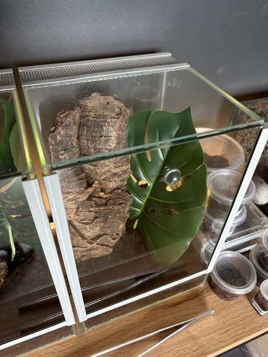 witam wykonam terrarium na zamowienie