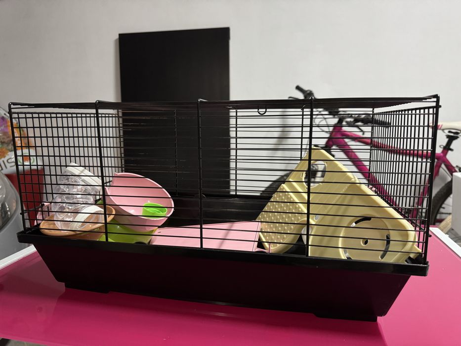 Casotas de hamster e Aquário para tartaruga