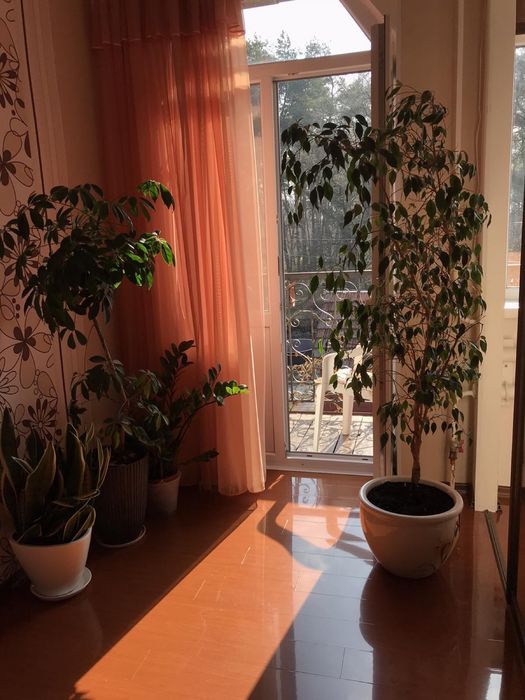 Будинок подобово для зустрічей, свят, вечірок.