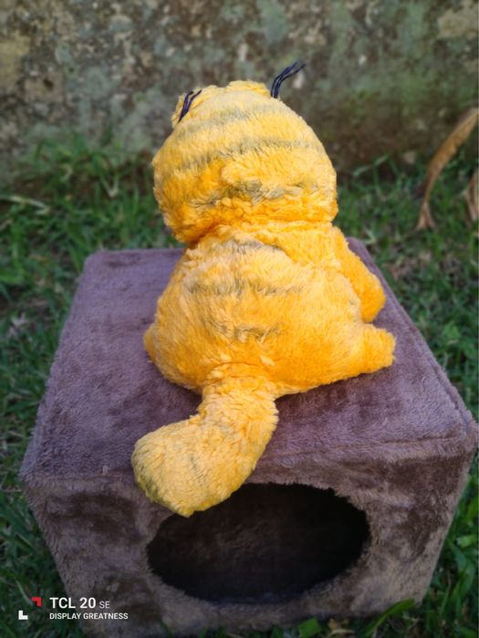 Garfield na sua casota