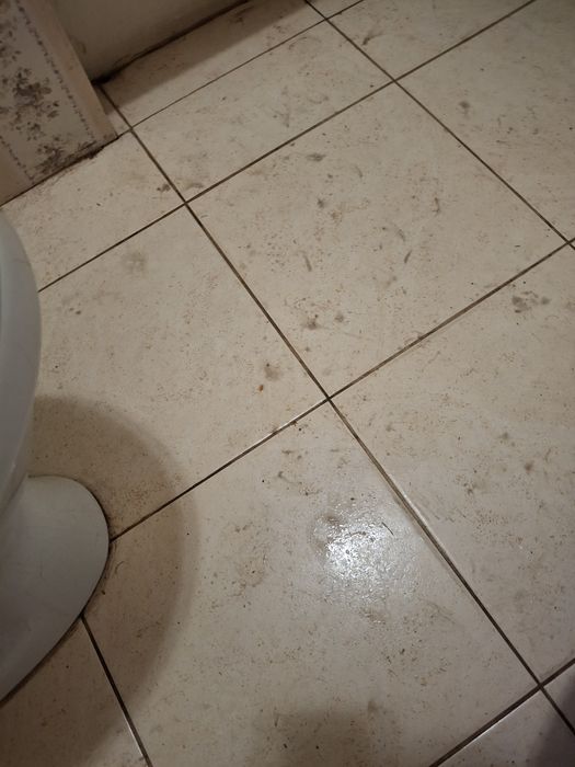 Прибирання квартир та офісів  

Пропоную якіс