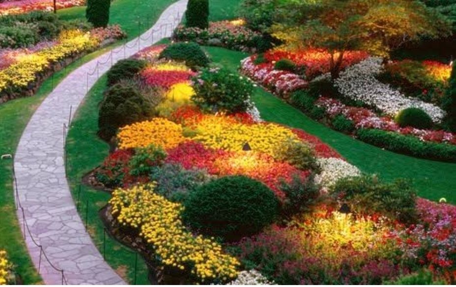Faço jardins e terrenos