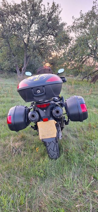 Suzuki DL 1000 v-strom