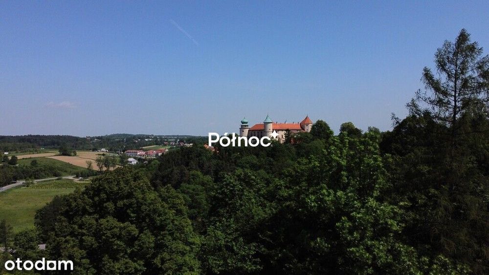 Leksandrowa -willa w pobliżu zamku w Nowym Wiśnicz - Widok 5