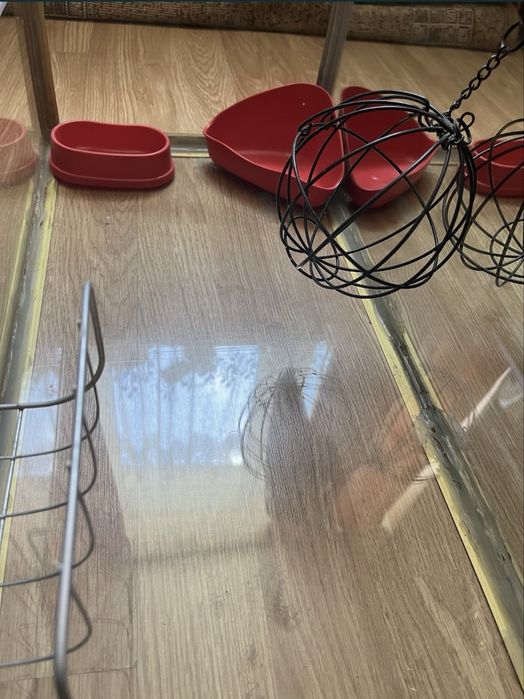 Тераріум/черепашник/для гризунів