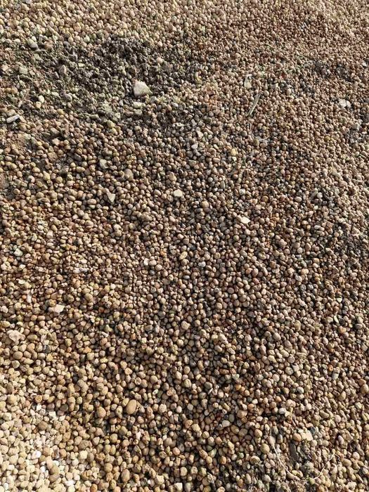 Чорнозем. Чернозем. Земля. Грунт. вивіз сміття