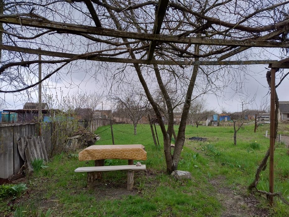 Продам дачу в кооперативі Олдиш