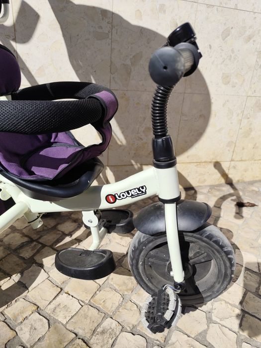 Triciclo evolutivo