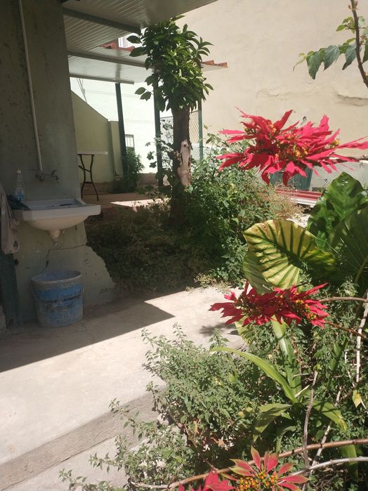 Dafundo T2 remodelado c/quintal 80m