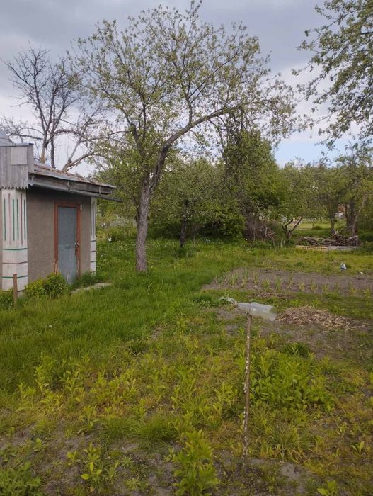 Продажа садов в шостке