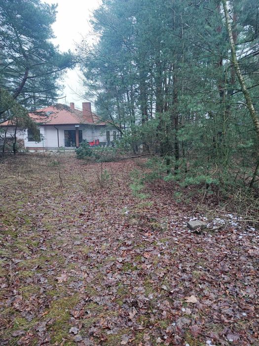 Działka budowlana - Puszczykowo