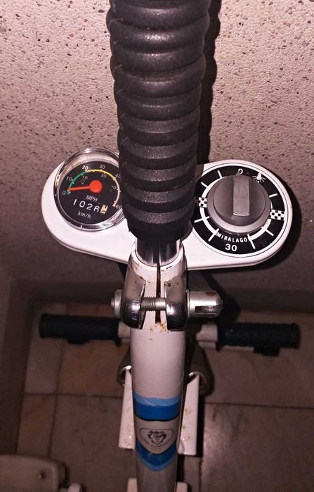 Bicicleta Estática de Desporto - Miralago (modelo antigo)