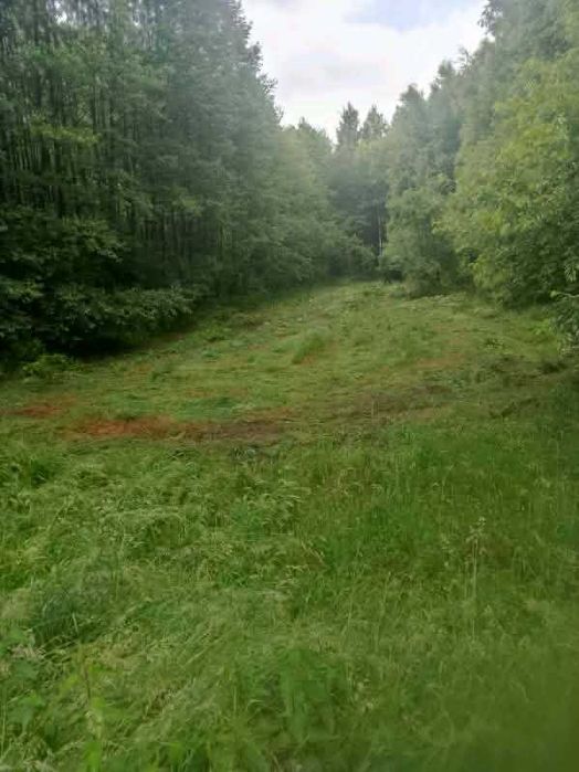 Działka rolna 1,19 ha – łąka + las  gmina Masłowice