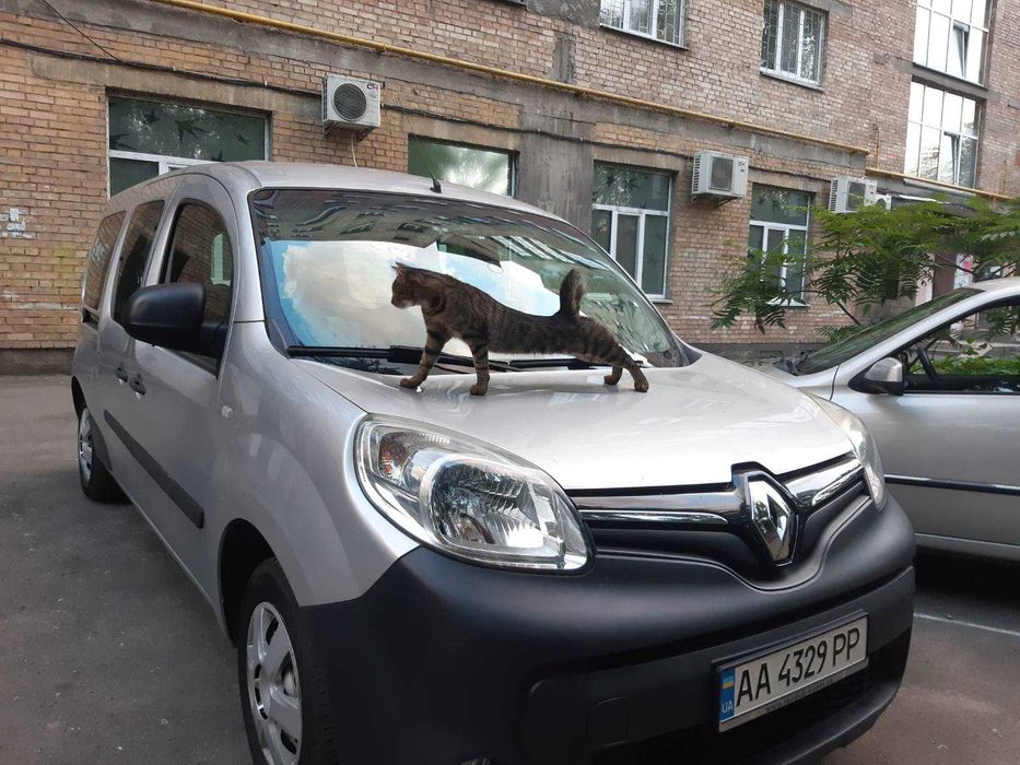 Renault Kangoo 2014,кузов длинный, чистый пассажир.