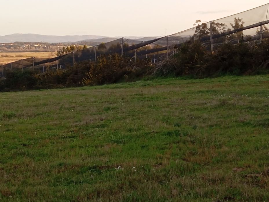 Terreno de construção nas meãs do campo ao lado da nacional 111