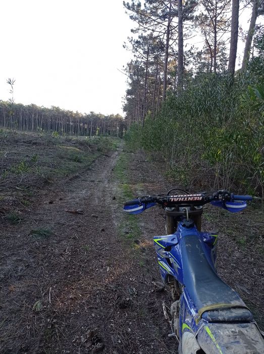 Vendo Yamaha WR 250 de 2007