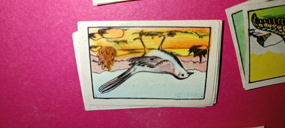 Antigos cromos da coleção zoologia 1 série