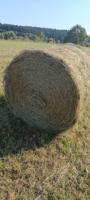 Sprzedam  bele siana , sianokiszonkę i słomę