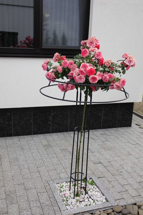 Опора для штамбових троянд. Висота 160 см. см.