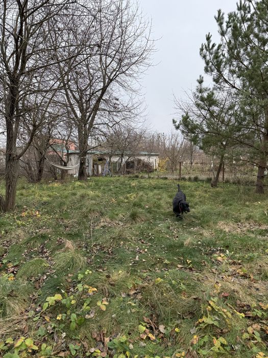 Дачний будинок продаж