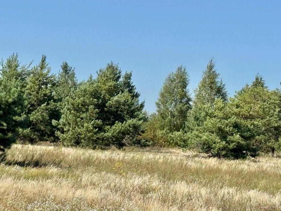 Колонщина! Земельний масив 7 Га!