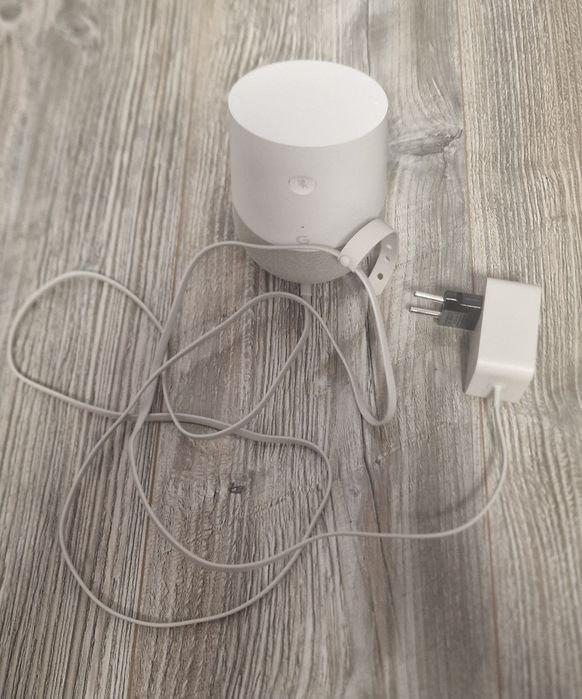 Google Home duży