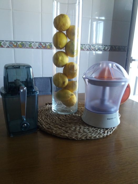Expremedor de cítrinos elétrico e Máquina manual de picar  gelo  10€