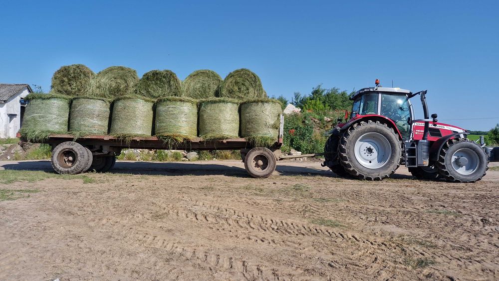 Sianokiszonka Lucerna Bele