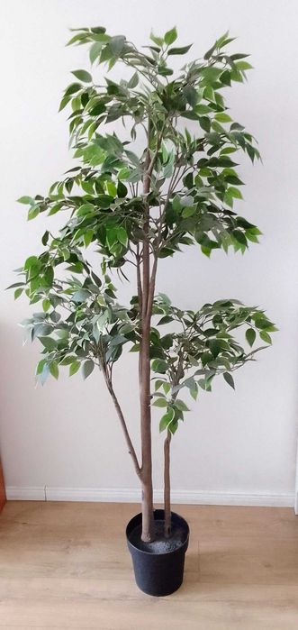 Figa płacząca - sztuczna roślina doniczkowa IKEA Fejka 170cm