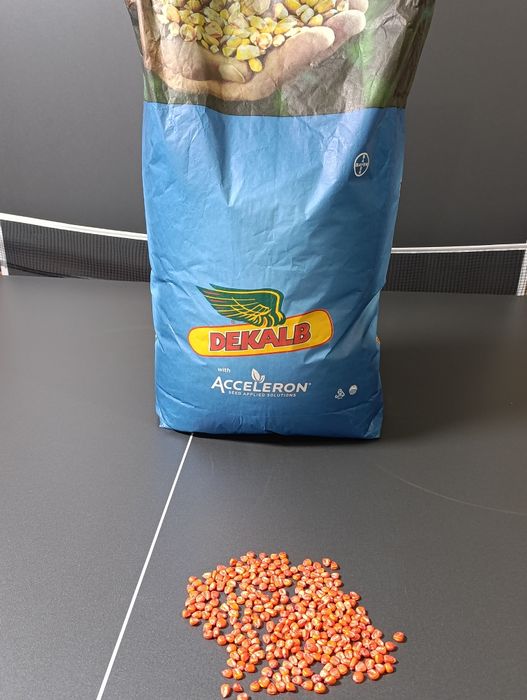 Кукуруза ДКС 3939 і 3972
В наличии

Розница