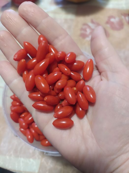 Продам Ягоди годжі